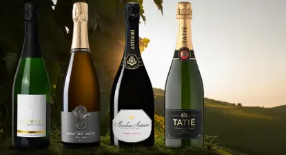 Vinatis -  2.5% Cashback